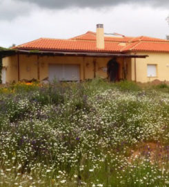 Casa Rural La Dehesa de Campoviejo