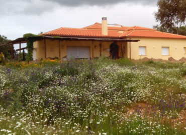 Casa Rural La Dehesa de Campoviejo